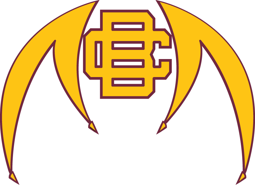 Bethune-Cookman Wildcats 2010-Pres Alternate Logo t shirts DIY iron ons
